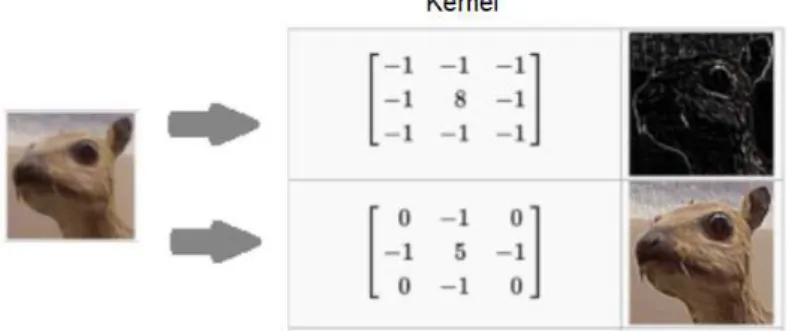 Figure 17: Example of one convolution layers provided by two different kernels.