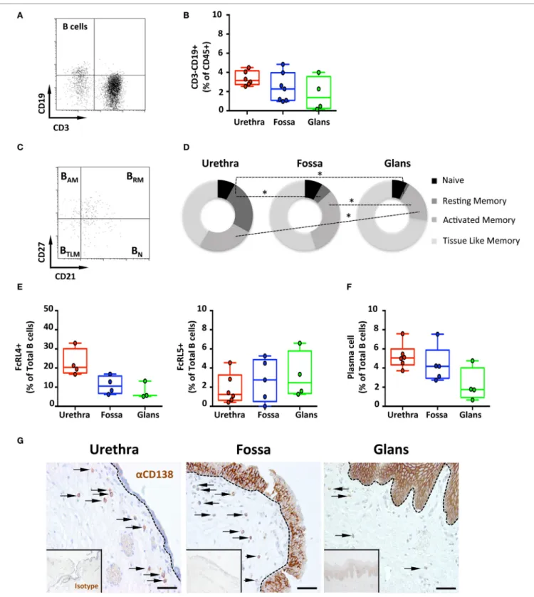 FigUre 2 | Continued