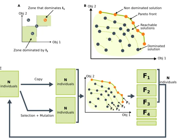 Figure 2.2: The Pareto dominance and the Pareto front. In these schemes, the algorithm maximizes both objective 1 and objective 2