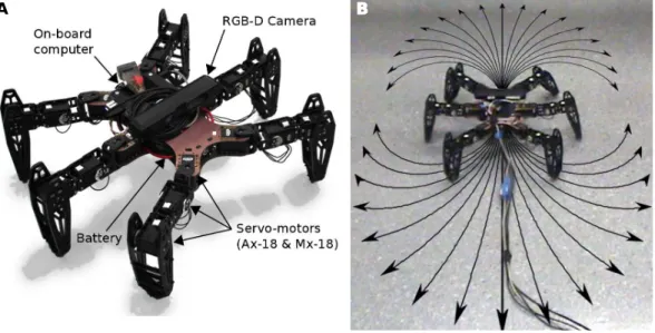 Figure 3.1: (Left) The hexapod robot. It has 18 degrees of freedom (DOF), 3 for each leg