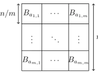 Figure 1.7: Basis of a module lattice of rank m