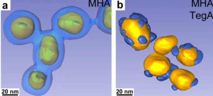 Figure 7. TEM tomographic reconstructions of 35 nm nanoparticles reacted with silica precursors,  for  two  different  surface  functionalizations:  (a)  MHA  (2.0  eq