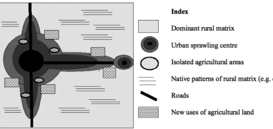 Figure 5: systems presenting an urban matrix organised in poles and lines.