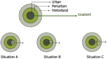 Figure 1: analytical grid of the archetypal forms of municipality positioning.