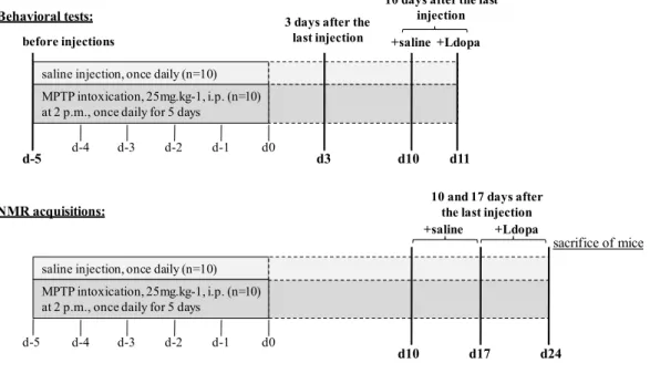 FIGURE 1. Experimental design.  