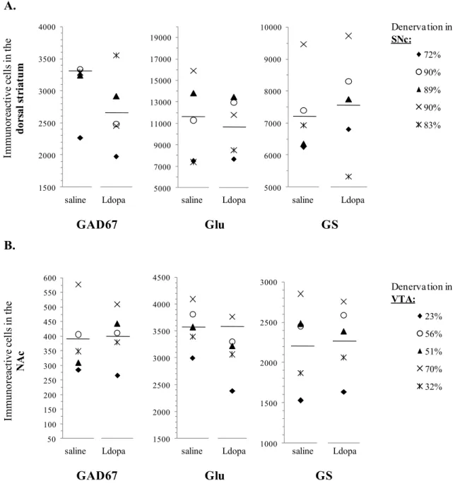 FIGURE 9. Individual data measured in the dorsal striatum and the NAc in relation to DA  denervation of the SNc (A) and the VTA (B), respectively