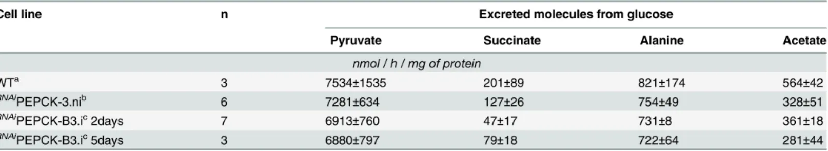 Table 1. Production of succinate, pyruvate, alanine and acetate from glucose in PEPCK RNAi T 