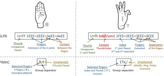 Figure 5.4 – The coding of the ’B’ and ’T’ hand configurations with the SLPA and the PMHC phonetic codings.