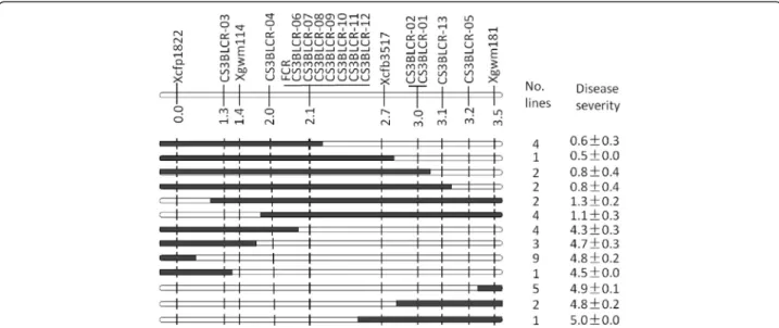 Fig. 2 Genotypes and phenotypes of the haplotypes identified based on markers surrounding the FCR locus Qcrs.cpi-3B