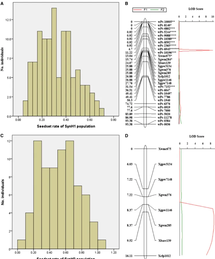 Figure 6 Frequency distribution and QTL for hybrid genome doubling. Frequency distribution of haploid plants with different seed setting rate for populations SynH1 (A) and SynH2 (C) and a QTL for the two haploid (F1) populations (B and D, red)