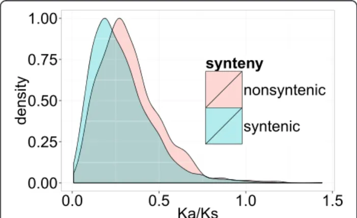 Fig. 5 Frequency distributions of Ka/Ks rates of syntenic (blue) and non-syntenic genes (red)