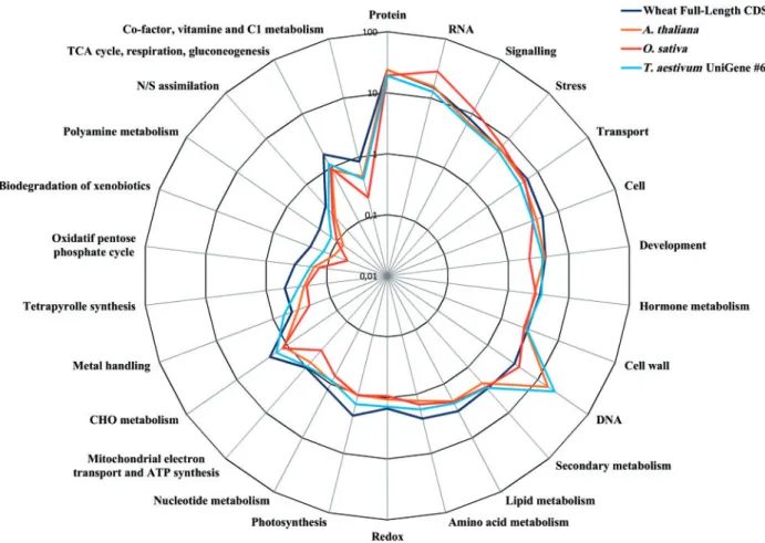 Figure 3. Radar plot (log scale) of the MapMan bin annotations for A. thaliana, O. sativa and T