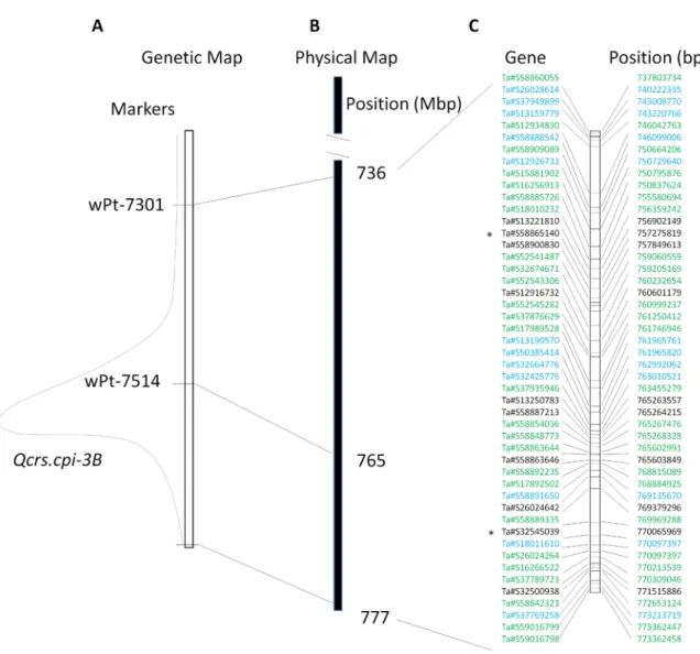 Figure 1. The Qcrs-3B interval and 48 unique genes identified in the interval. (A) Genetic map showing the Qcrs-3B interval with two DArT markers which were successfully placed on the 3B pseudomolecule of Chinese Spring
