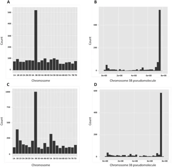 Figure 2. Distribution of DEGs (A, B) and SNPs (C, D) across the 21 chromosomes (left) and along the 3B pseudomolecule (right).