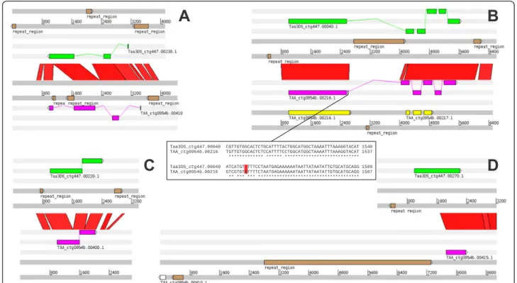 Figure 2 Comparison of gene – pseudogene homoeologous pairs. Intact coding sequences (all from the 3DS locus) are in upper trace highlighted in green colour