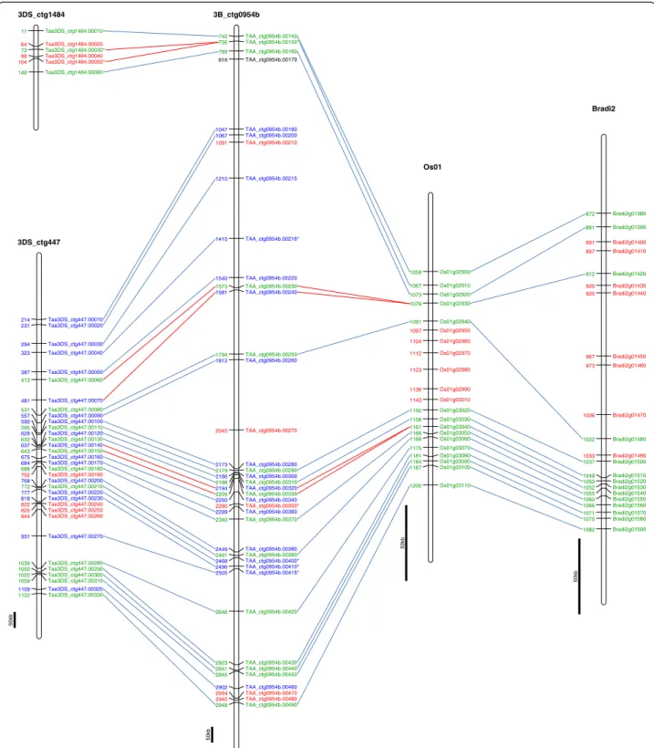 Figure 1 Comparison of the gene content at the Hga locus on 3DS with its homoeologous sequence on wheat chromosome 3B and homologous regions in rice (Os01) and Brachypodium (Bradi2) genome