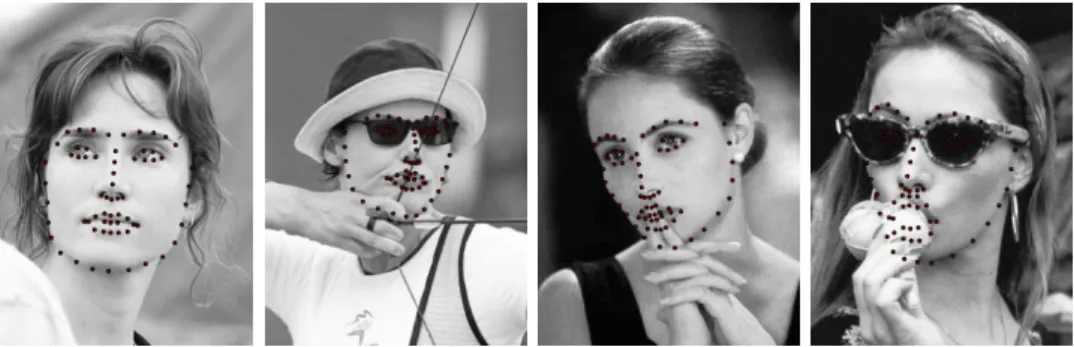 Fig. 2.1 Examples of facial landmarks from LFPW [37] training set.