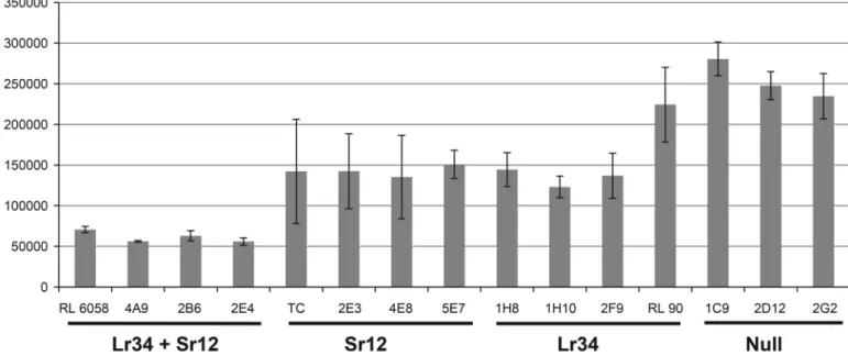 Fig 4. Amount of Sr12-avirulent Pgt race 98 – 1,2,(3),(5),6 infection at the seedling stage after 10 DPI in four genotypic classes of homozygous lines from the RL90/RL6077 population as determined by an assay measuring chitin abundance in the leaf tissue