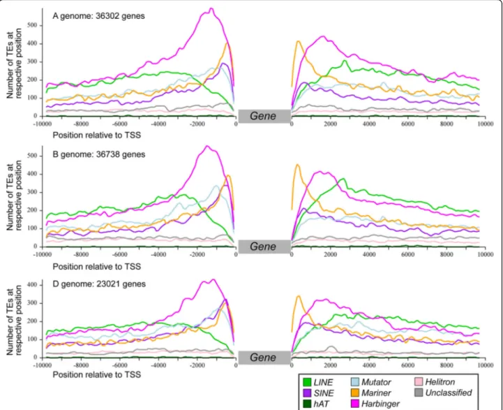 Fig. 7 TE landscape surrounding genes. Genes from the three subgenomes were treated separately