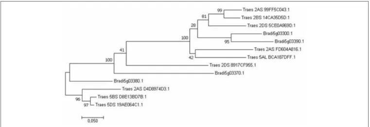 FIGURE 2 | Phylogenetic analysis of the putative wheat candidate UGT proteins. The upper clade contains UGTs corresponding to putative wheat orthologs of the B.