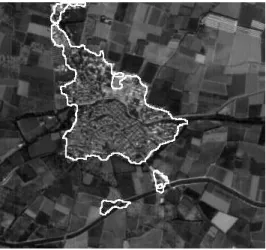 Figure 1.2: Segmentation of the urban zone using a Markov random field c  Ariana/INRIA.