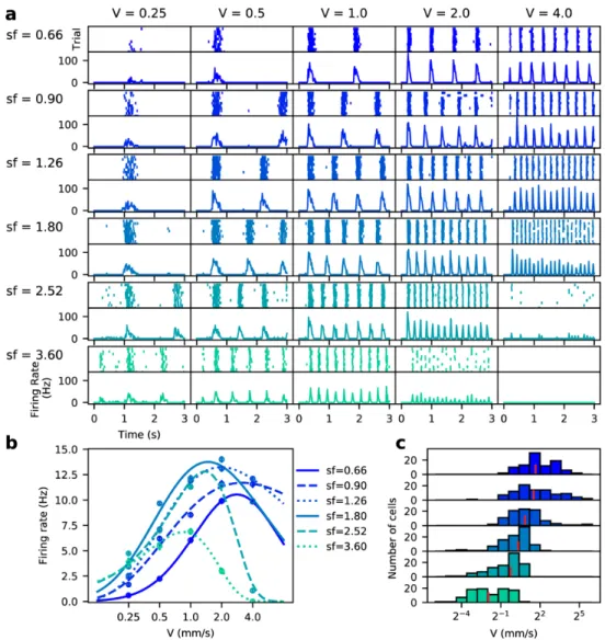 Figure 1.5: RGC response to grating stimuli with different spatial and temporal fre- fre-quencies