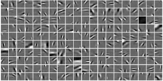 Figure 1.8: Image structures can be captured using a bank of oriented basis functions.