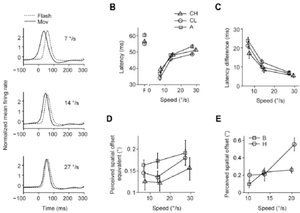 Figure 2.8: Speed dependence of the population response latencies. Figures A show the anticipatory effect in time : the response to a moving bar is shifted as compared to the response to a flashed bar