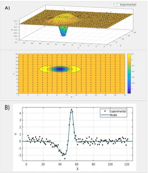 Figure 3.2: Bipolar receptive field of salamander retina obtained from Spike Triggered Average on experimental data (courtesy O