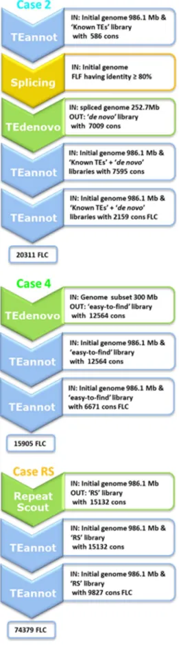 Fig. 2. Workflows of the tested strategies. “IN:” refers to input data for the step. “OUT:” indicates the results