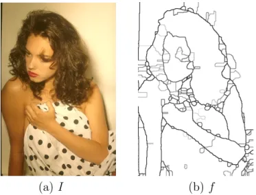 Figure 2.4: An image I and the saliency map f of a hierarchy of partitions of I obtained with the method proposed in [60].