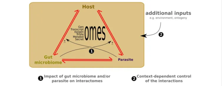 FIGURE 1 | New -omics and meta-omics technologies help to identify candidate molecular interactions in the three-partner crosstalk (1) and context-dependent control of the interactions (2)