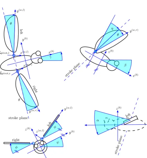 Figure 3.2.1 – A simple model insect (“Jerry”). Definitions of the body angles γ (yaw), β (pitch), ψ (roll) and the anatomical stroke plane angle η, definitions of the wing coordinate systems and the wing angles θ (deviation), φ (position) and α (featherin