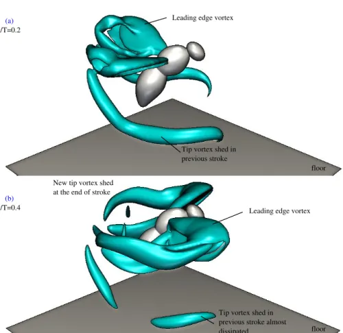 Figure 3.5.3 – Snapshot of the vortical structures generated by a hovering fruit fly model, visualized by iso-surfaces of the Q-criterion (Q = 100), at two different times of the downstroke (a) at the beginning of the downstroke t/T = 0.2 and (b) shortly b