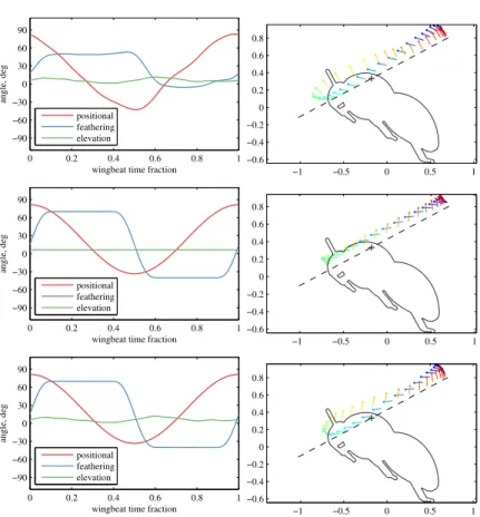 Figure 4.2.2 – Bumblebee kinematics. Top row: data extracted from experimental work by Dudley and Ellington [33]