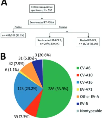 Figure 1. Methodologic approach for enterovirus genotyping  and distribution of types associated with hand, foot and mouth  disease and herpangina, France, April 2014–March 2015