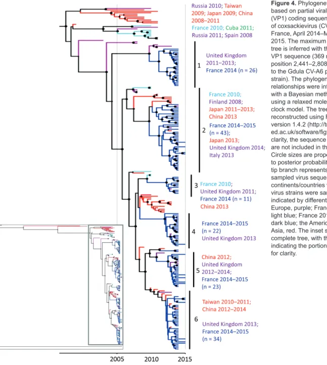 Figure 4. Phylogenetic tree  based on partial viral protein  (VP1) coding sequences  of coxsackievirus (CV) A6,  France, April 2014–March  2015
