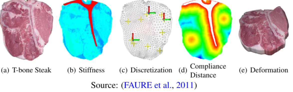 Figure 2.3: A frame-based method to simulate complex deformable solids composed with heterogeneous material properties.
