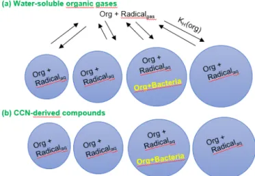 Figure 1. Schematic of the multiphase box model including chemi- chemi-cal radichemi-cal reactions in the gas and aqueous phases