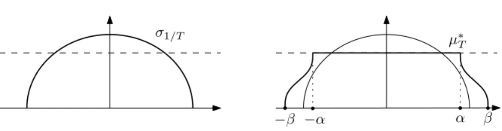 Figure 3. A schematic representation of the measures σ 1/T and µ ∗ T .