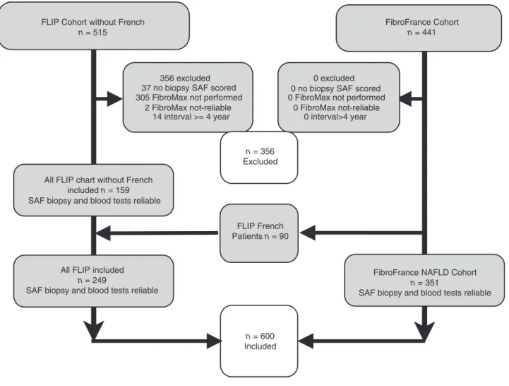 Figure 1 | Flow charts of patient inclusions.