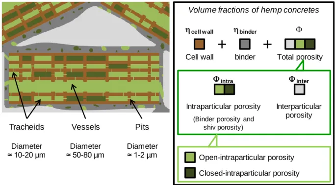 Figure 2. Framework of different phase volume fractions in hemp concretes 