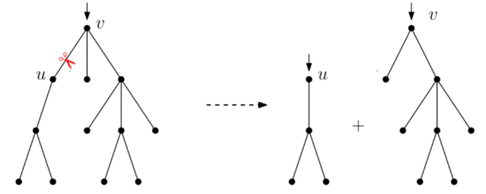 Figure 1.11: Deleting the root edge of a tree creates two new trees.