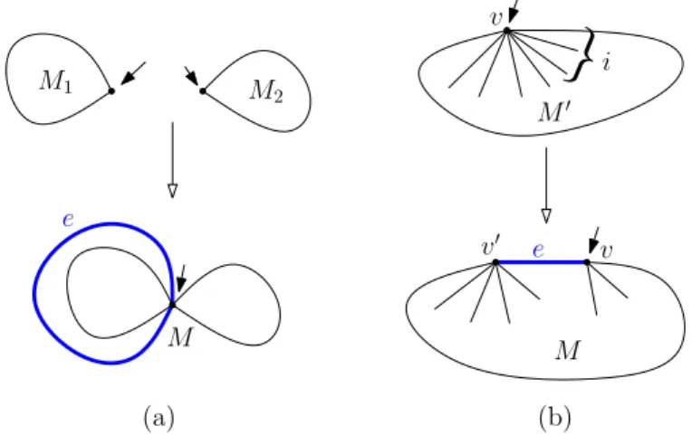 Figure 1.12: Construction of a planar map with n edges: (a) merge an ordered pair of maps M 1 , M 2 with n 1 and n 2 edges (n 1 + n 2 = n − 1) and add a loop around M 1 , or (b) split the root-vertex of a map with n − 1 edges