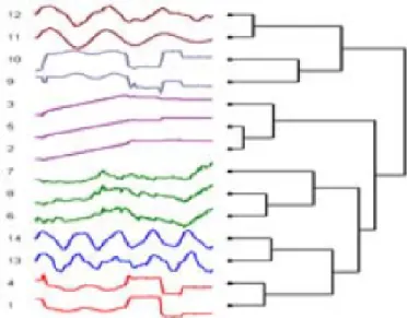 Figure 2.5: An example of time series clustering (illustration from [Wang et al., 2005]) provide meaningful results if the clustering is performed on the entire set of subsequences.