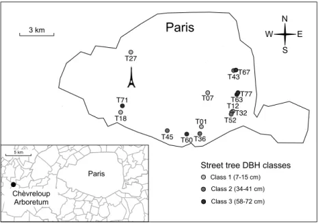 Figure 7. Location of sampled street plantations in Paris and the arboretum. 