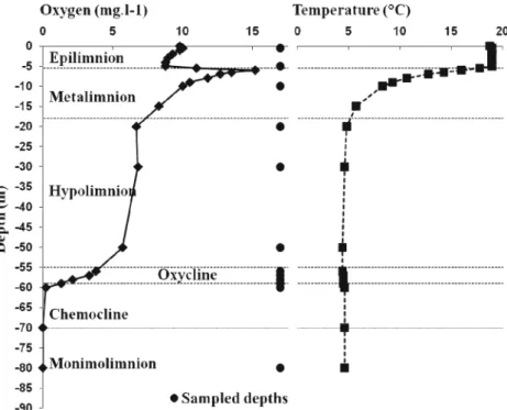 Figure 1 Sampling strategy in the water column of Lake Pavin. Example of oxygen and temperature profiles in July, typical of the period of thermal stratification