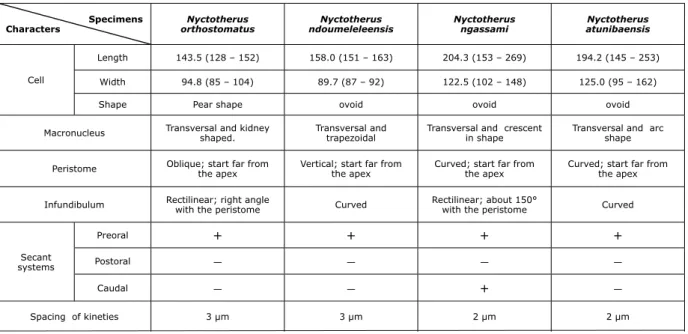 Table 5. Comparative characters between the four species of Nyctotherus (N=30)