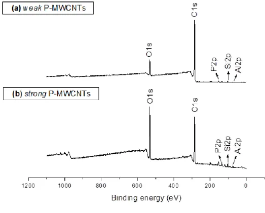 Fig. 3. XPS survey spectra of (a) weak P-MWCNTs and (b) strong P-MWCNTs. 
