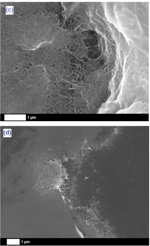 Fig. 5. SEM pictures of Ti substrates covered by (a) pristine Ta 2 O 5  (insert: magnified view)  and composite (b) Ta 2 O 5 /O-MWCNTs, (c) Ta 2 O 5 /weak P-MWCNTs, and (d) Ta 2 O 5 /strong 